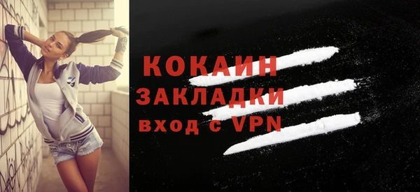 индика Алексин