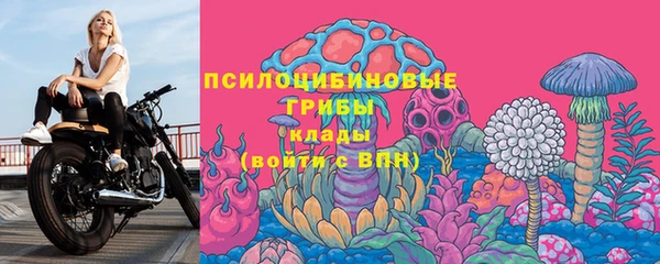 тгк Алзамай