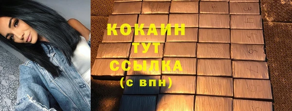 тгк Алзамай