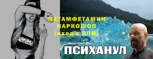 индика Алексин