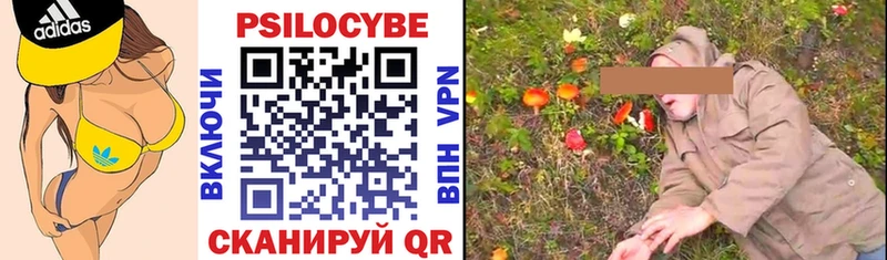 продажа наркотиков Торопец Галлюциногенные грибы мицелий